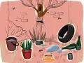 Los mosquitos se reproducen en agua estancada: cubos, macetas, neumáticos, botellas y latas.