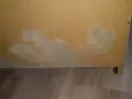 Plamy pleśni w szafie zabudowanej, rozprzestrzeniające się na płycie meblowej.