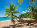 Rajska plaża na Nosy Be, kiedy jechać? Idealny czas to sucha pora, od maja do października.