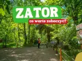 Zator atrakcje: człowiek robi zdjęcie gigantycznemu dinozaurowi w parku. W tle kolejne prehistoryczne zwierzęta i tablice informacyjne.