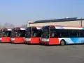 Rzędy czerwonych autobusów z kolorowymi wzorami czekają na swój z1 rozkład jazdy.
