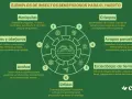 Diagrama de insectos beneficiosos para el huerto: mariquitas, abejas, arañas, sírfidos, crisopas, avispas parasitoides y escarabajos de tierra.