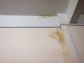 Taches de moisissure et d'humidité sur un mur et un plafond, signe d'un vice caché de maison et d'une infiltration d'eau.