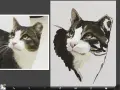 En konstnär försöker måla katt, med en bild av en katt till vänster och en pågående målning till höger.
