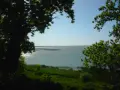 Widok na jezioro obok gardna i sarbska, z drzewami w tle i zieloną trawą na pierwszym planie.