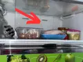 Woda w lodówce? Zatkany odpływ? Udrożnij go sam w 5 krokach!