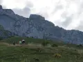 Randonneurs sur une pente herbeuse face à une falaise imposante. Le chemin sinueux et la hauteur suggèrent que la tournette est dangereuse.