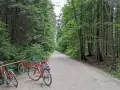 Leśna trasa rowerowa, gdzie stawy echo zwierzyniec zapraszają do odkrywania. Czerwone rowery czekają na przygodę.