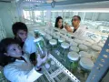 Ricercatori in laboratorio analizzano campioni vegetali in provetta. Un futuro promettente per le biotecnologie mediche, con uno stipendio che riflette l'innovazione.