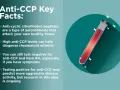 Kluczowe fakty o anty-CCP: przeciwciała atakujące tkanki, wysoki poziom anty-CCP pomaga diagnozować RZS. Test anty-CCP może przewidywać agresywność choroby.