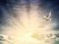 Weiße Taube fliegt durch dramatische Wolken, ein Symbol für Ostern, Himmelfahrt und Pfingsten.