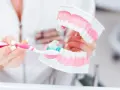Dentyści pokazują na modelu, jak prawidłowo myć zęby, by uniknąć zbyt długiego mycia.