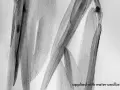 Abstraction en noir et blanc, évoquant la poudre de graphite utilisation dans une œuvre d'art fluide, appliquée à l'eau et au pinceau.