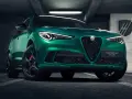 Zielony Alfa Romeo Stelvio Quadrifoglio z czarnymi felgami i czerwonymi zaciskami hamulcowymi, zaparkowany w garażu.