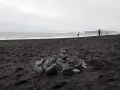 Kamienne stosy na czarnej plaży Islandii, z widokiem na ocean i skaliste wybrzeże.