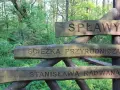 Drewniany drogowskaz "Ścieżka przyrodnicza Spławy" w lesie.