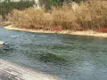 Rzeka Dunajec w Szczawnicy, widok na przystań flisacką i lasy.