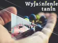 Wyjaśnienie tanin w winie. Kieliszek czerwonego wina, winogrona i beczki w tle.