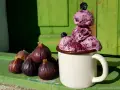 Eis aus gefrorenen Feigen, garniert mit Brombeeren, neben frischen Feigen. Ein leckeres Rezept für heiße Tage.