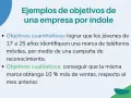 Ejemplos de objetivos específicos de una empresa: cuantitativos (identificación de marca en jóvenes) y cualitativos (aumento de ventas).