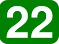 Biała liczba 22 na zielonym tle. Liczba 22 znaczenie w numerologii to harmonia, równowaga i intuicja.