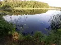 Spokojne jezioro Kopalińskie otoczone lasem, z odbijającymi się w wodzie drzewami i liliami wodnymi.