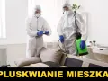 Jak przygotować mieszkanie do odpluskwiania - uniknij błędów i stresu