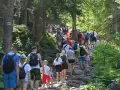 Tłum turystów wędruje kamienistym szlakiem w lesie. W oddali widać fragmenty **trzy korony taras widokowy**.