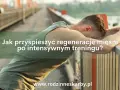 Co na regenerację po treningu? Klucz do szybszych postępów!