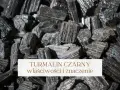 Grupka surowych kryształów turmalinu czarnego, błyszczących w świetle. Kamienie te mają wiele właściwości.