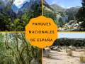 Montañas, bosques y dunas: así es un parque nacional en España, un tesoro natural para explorar.