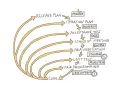 Flussdiagramm zeigt den Zyklus von extrem programming: Release Plan, Iteration Plan, Acceptance Test, Stand Up Meeting, Pair Negotiation, Unit Test, Pair Programming, Code.