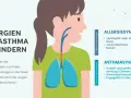 Illustration zeigt ein Kind mit Lungen und Atemwegen. Text erklärt Allergien und Asthma bei Kindern, Symptome wie Husten und Niesen.