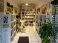 Innenansicht eines japanischen Teeladens in Berlin. Regale voller Matcha-Produkte und grüner Tee-Sorten.