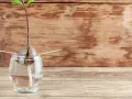 Ein Keimling wächst aus einem Avocadokern, der mit Zahnstochern in einem Glas Wasser steckt. Der Beginn, Avocado ziehen.