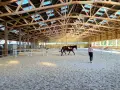 Cheval brun dans un manège d'équitation, guidé par une personne. La structure en bois du toit est visible.