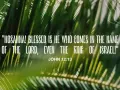 Palm fronds frame a verse about Palm Sunday: "Hosanna! Blessed is he who comes in the name of the Lord, even the King of Israel!" John 12:13.