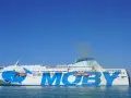 Ogromny prom Moby Legacy z wielorybem na burcie, gotowy do rejsu na Sardynię.