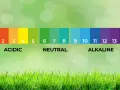 Scala pH: da rosso (acido) a viola (alcalino). Utile per capire come acidificare l'acqua per i trattamenti.