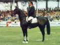 Un cavalier sur Jappeloup, un cheval noir à la taille impressionnante, devant une foule en délire.