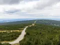Kamienista ścieżka prowadzi przez gęste lasy i połacie kosodrzewiny. Widok na góry i chmury podczas zejścia ze Szrenicy.