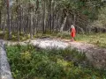 Dziewczynka w czerwonej sukience spaceruje po piaszczystej ścieżce w lesie sosnowym. Rezerwat przyrody Mierzeja Sarbska.