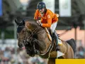 Cavalier néerlandais en tenue orange, en plein saut d'obstacles avec son cheval. Le **comthago vdl** semble prêt pour la victoire.