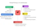 Spam, phishing, smishing i vishing - jak reagować?