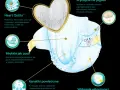 Pampers 1 do kiedy? Sprawdź, kiedy zmienić na większy rozmiar