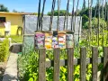 Quatre sachets d'infusions pour kéfir ou kombucha, "Eden", "Atlas", "Oasis" et "Zéphyr", sont accrochés à des piquets dans un jardin ensoleillé.