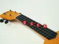Nahaufnahme eines gelben Ukulelenhalses mit den Noten G, C, E, A als gitarrensaiten beschriftung auf roten Kreisen.