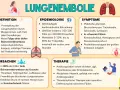 Infografik erklärt Lungenembolie: Ursachen (tiefe Beinvenenthrombose), Symptome (Atemnot, Schock) und Therapie. Eine doppelte Lungenembolie ist lebensbedrohlich.