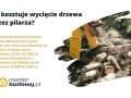 Drwal w żółtym ubraniu tnie piłą mechaniczną drewno na kawałki.