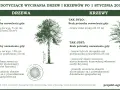 Ilustracja drzewa i krzewu z wymiarami obwodu pnia i powierzchni krzewu.